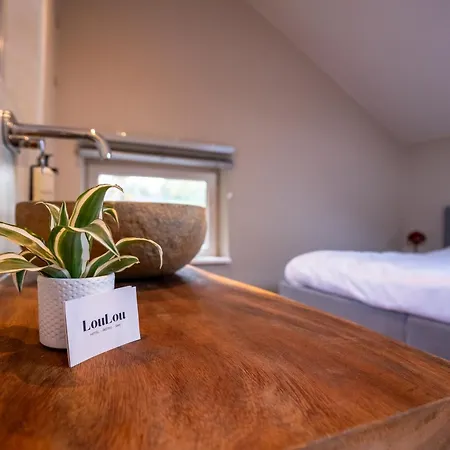 Boutique Loulou Bed & Breakfast 2*