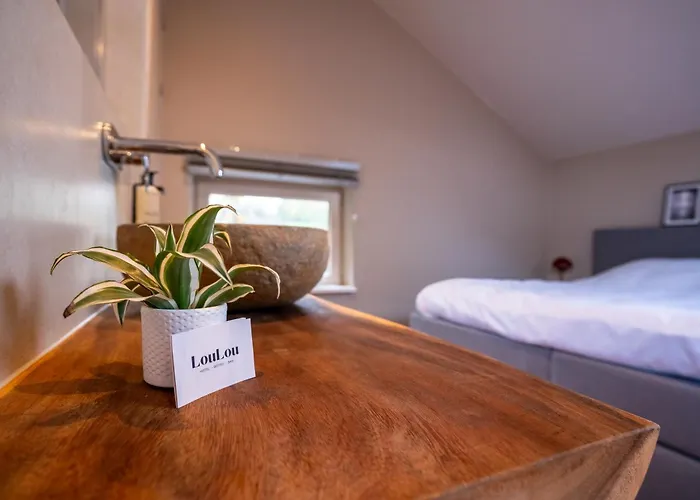 Boutique Loulou Bed & Breakfast 3*