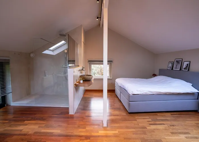 Bed & Breakfast Boutique Loulou 3*